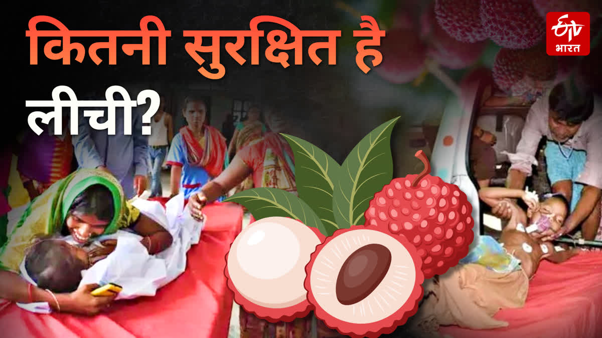 MUZAFFARPUR LITCHI