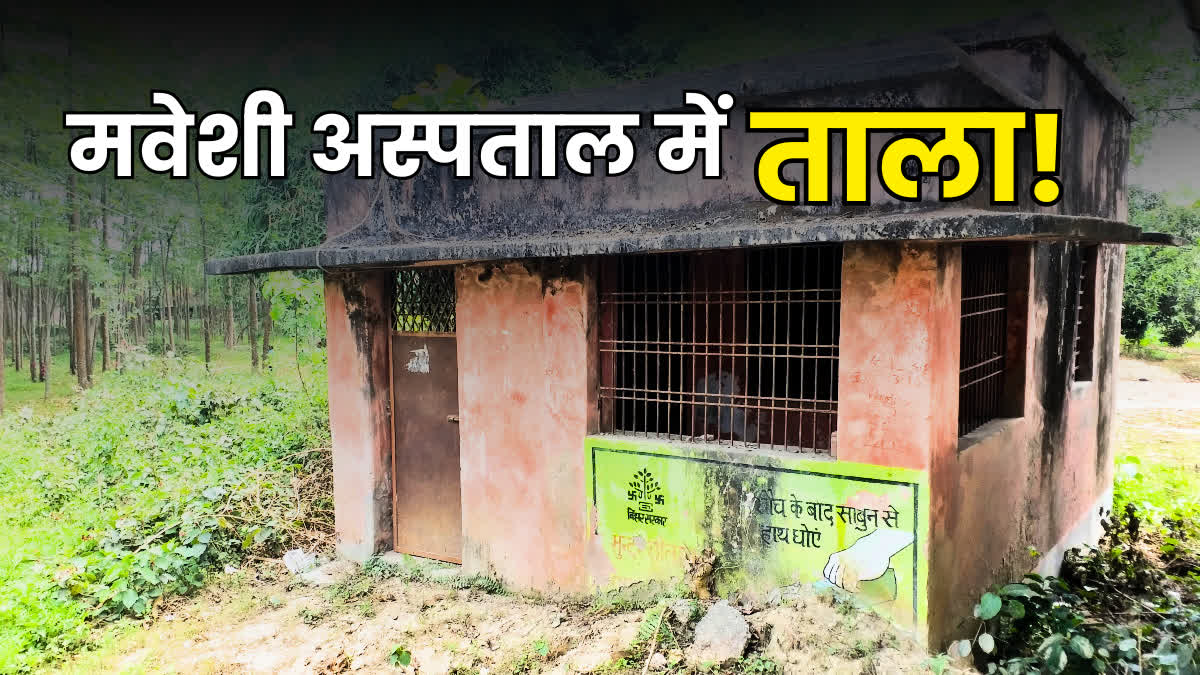 Veterinary Hospital In Sitamarhi