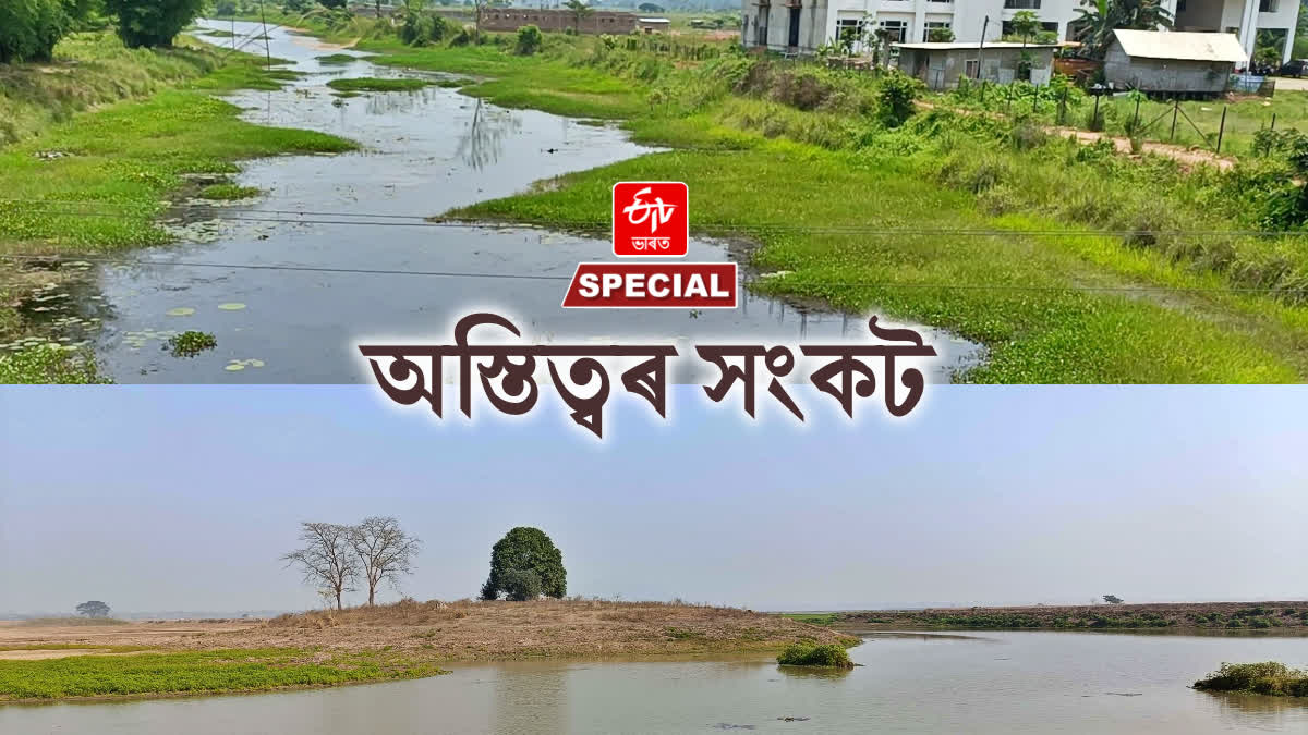 threats to wetland of Dimoria