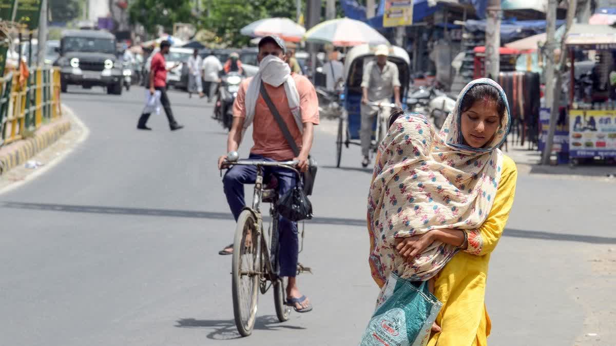 48 degrees Celsius Hits North