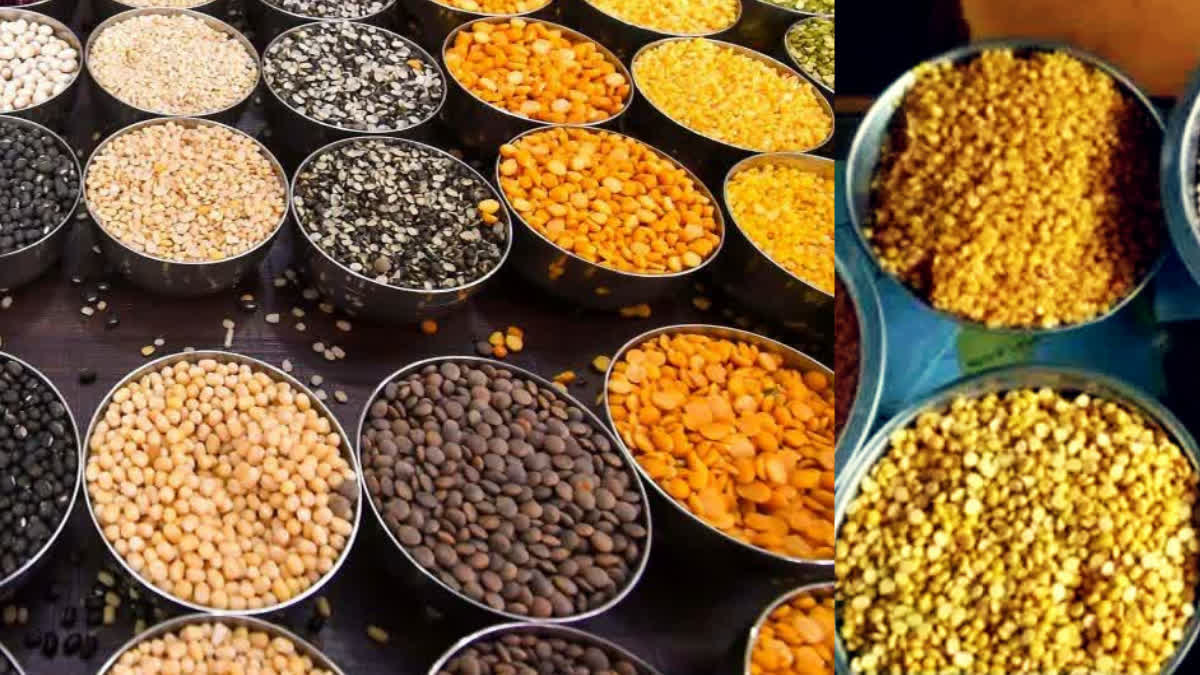 અડદ, મગ, ચણા કે મસૂર: આમાંથી કઈ દાળમાં સૌથી વધુ પ્રોટીન હોય છે?