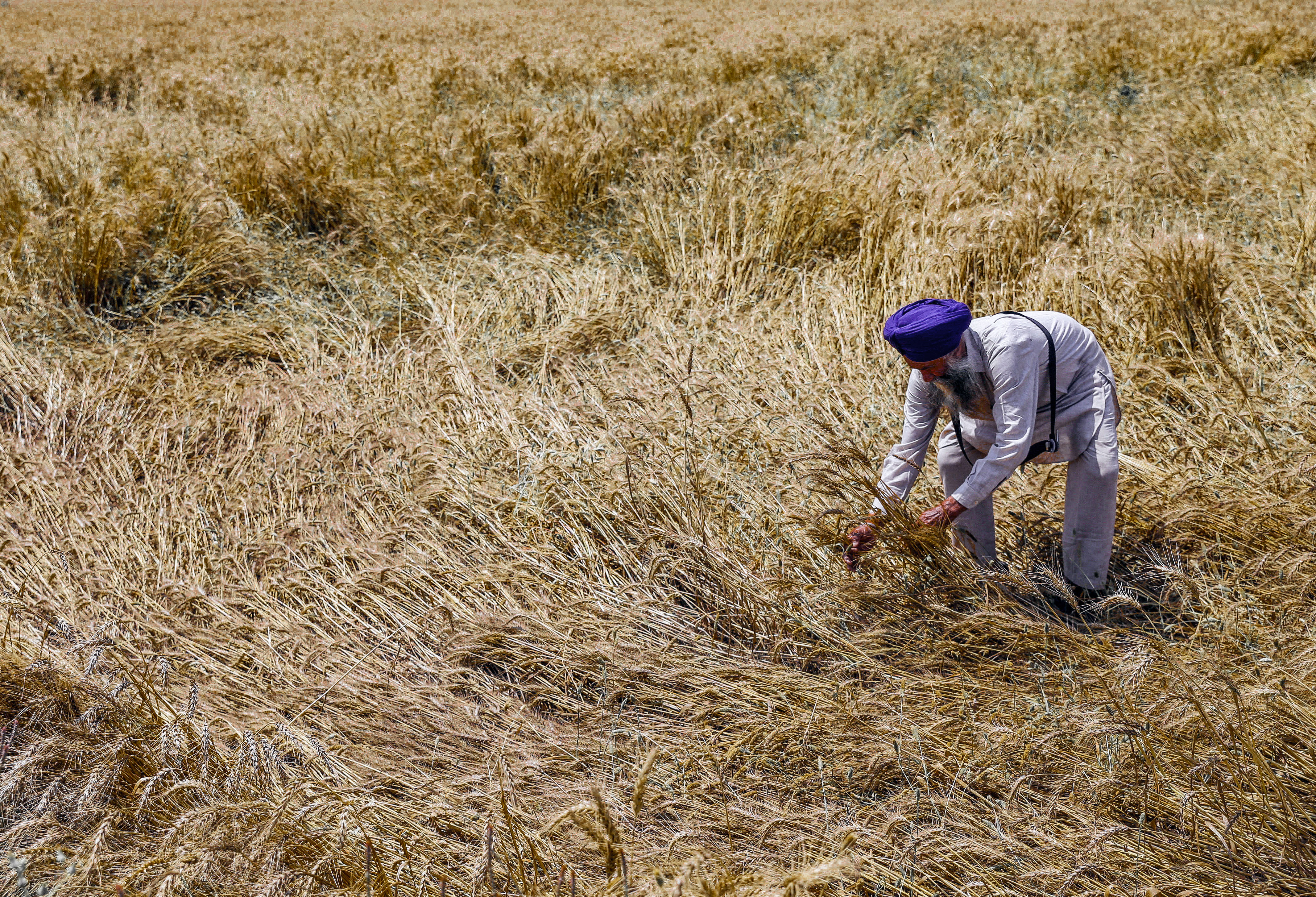 India Faces Dual Weather Crisis: 48°C Heatwave Hits North, Thunderstorm Alerts For 14 States