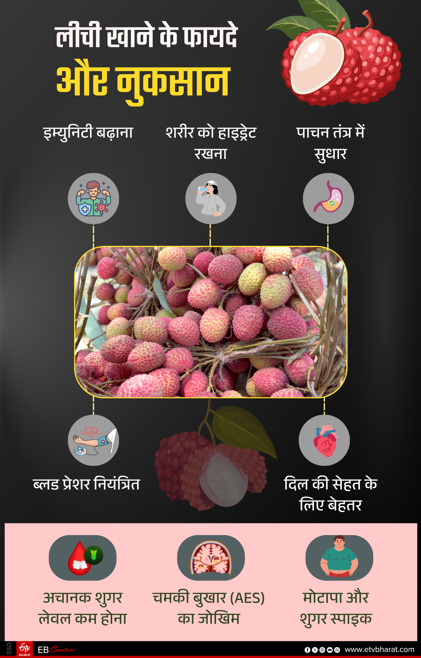 MUZAFFARPUR LITCHI