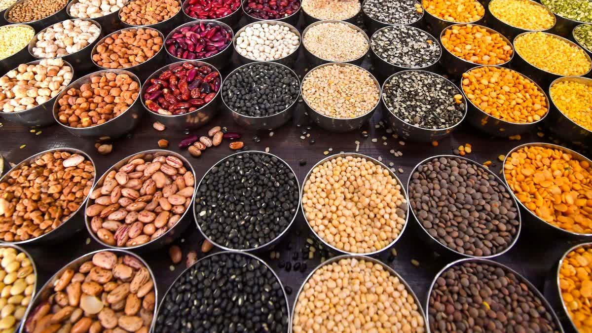 અડદ, મગ, ચણા કે મસૂર: આમાંથી કઈ દાળમાં સૌથી વધુ પ્રોટીન હોય છે?