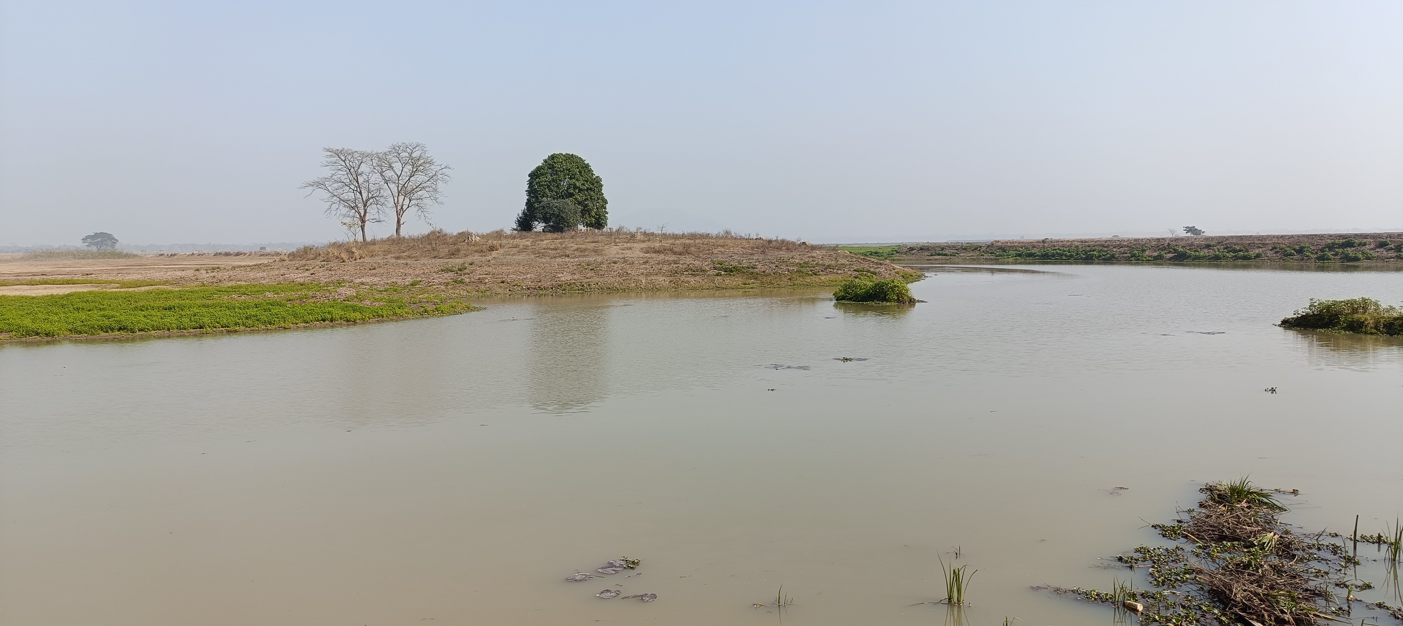 threats to wetland of Dimoria