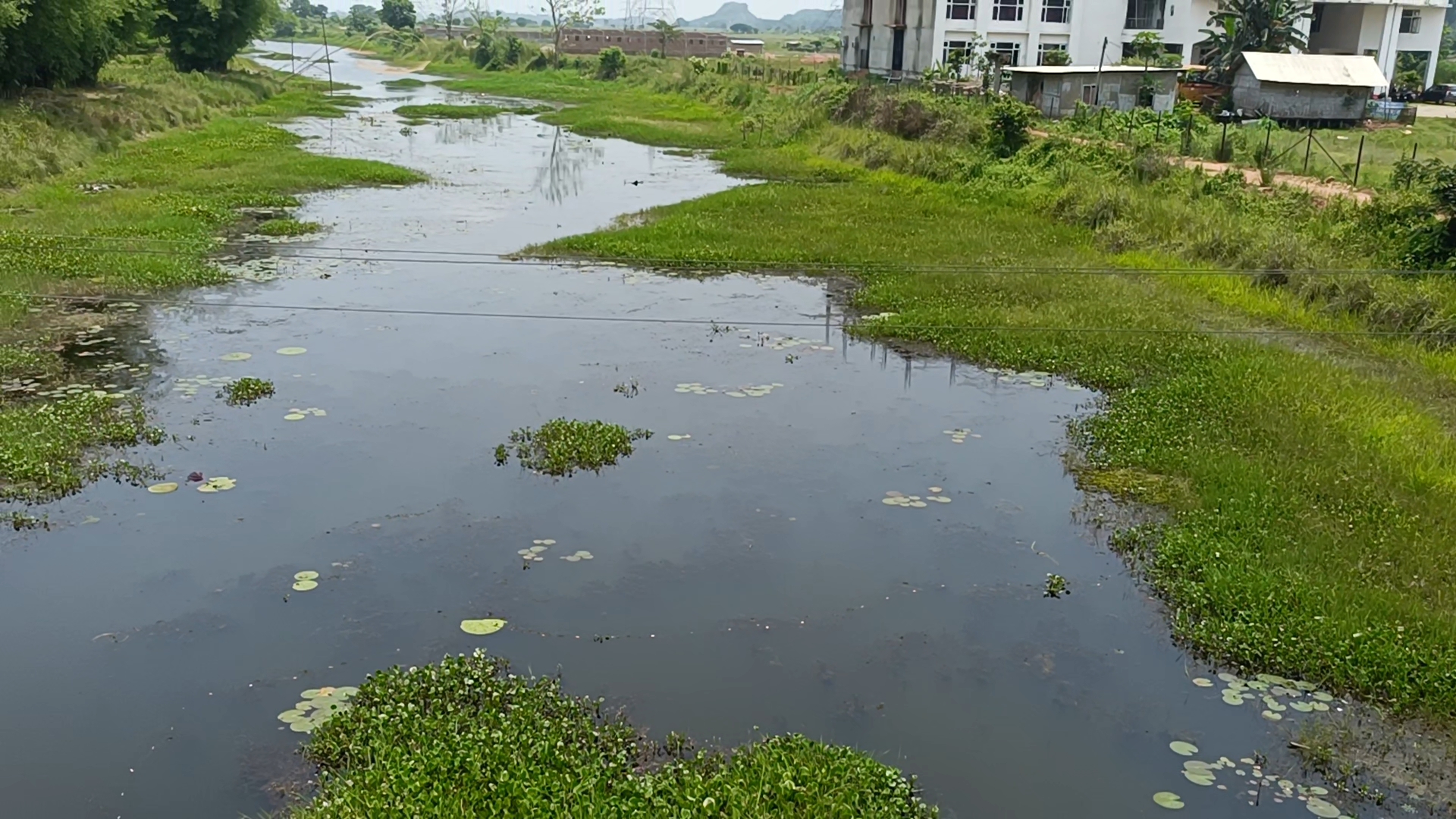 threats to wetland of Dimoria