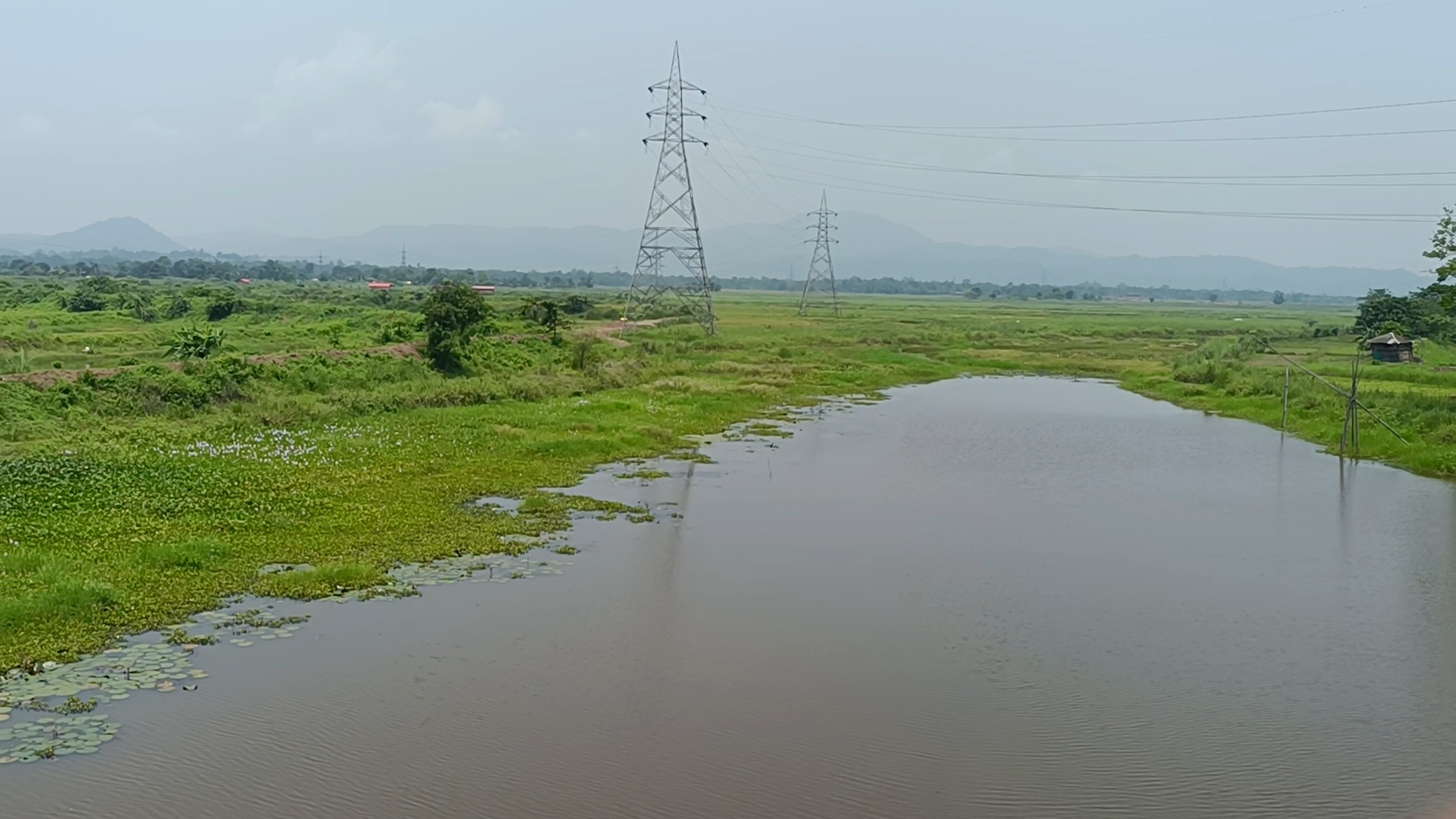 threats to wetland of Dimoria