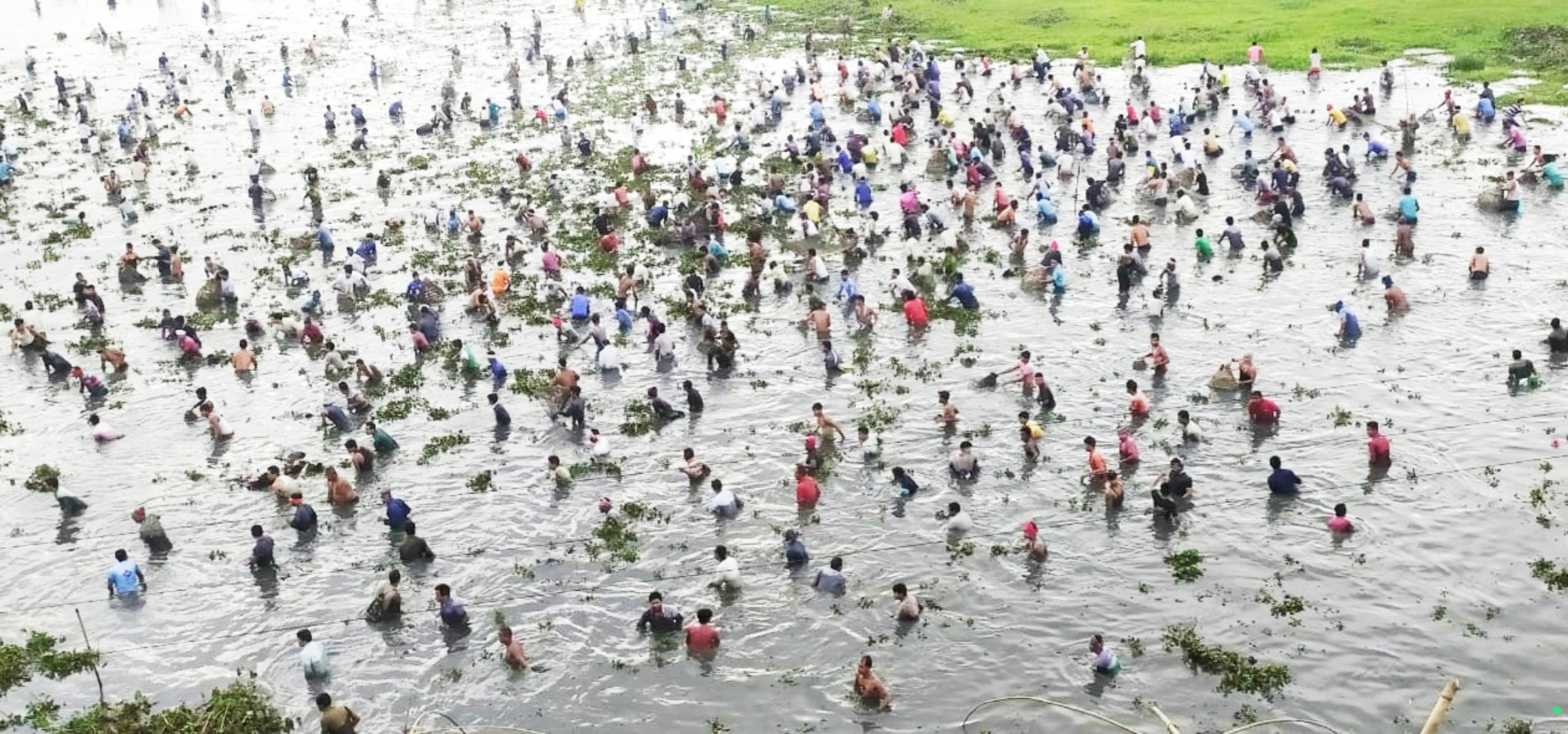 threats to wetland of Dimoria