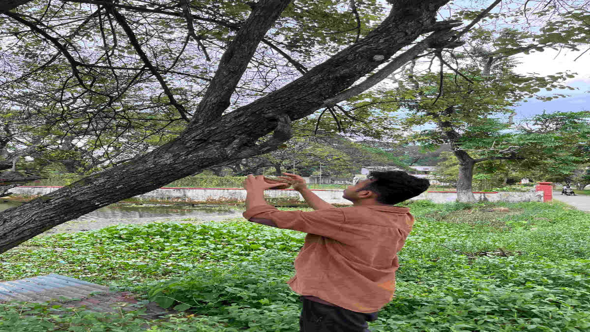 unique measures for birds In Guwahati