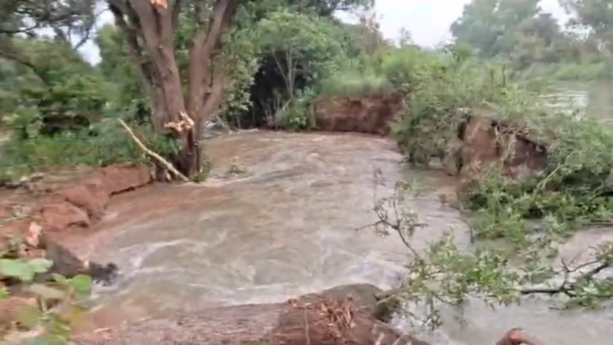 canal breaks in sathiali head works
