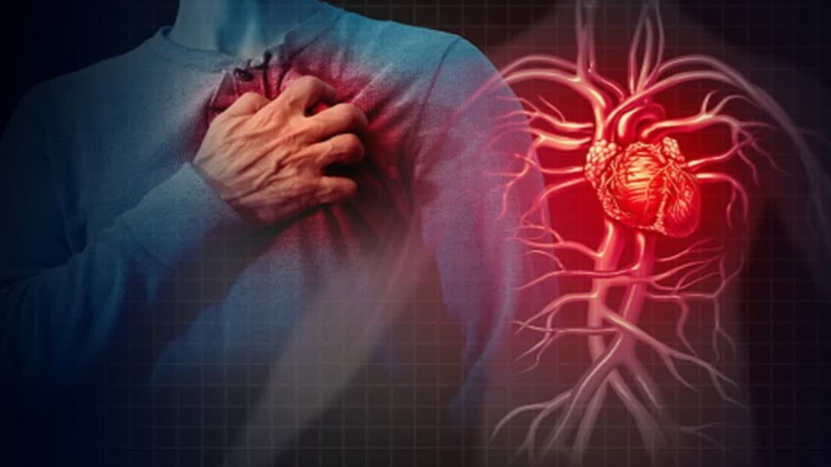 Eat these foods daily to maintain heart health; find out what experts say.
