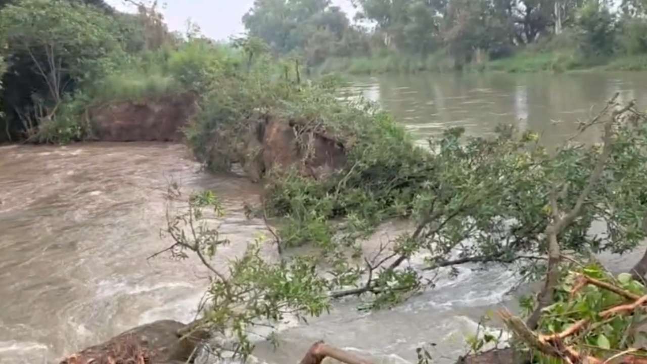 canal breaks in sathiali head works