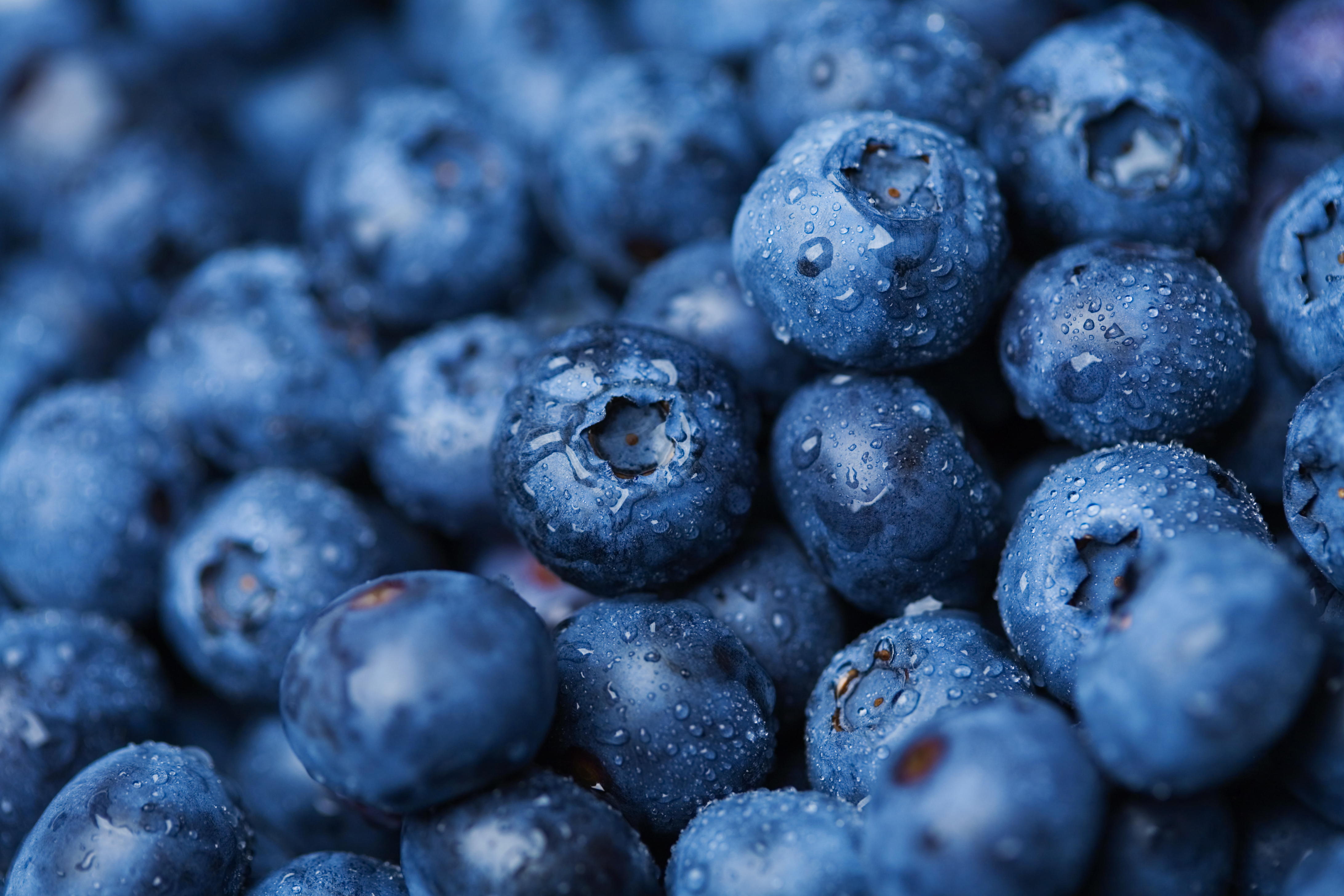 Eat these foods daily to maintain heart health; find out what experts say.