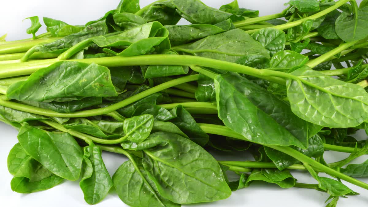 Eat these foods daily to maintain heart health; find out what experts say.