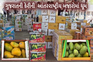 ગુજરાતની કેરીએ આંતરરાષ્ટ્રીય બજારોમાં ધૂમ મચાવી