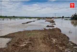 Barhampur flood threat