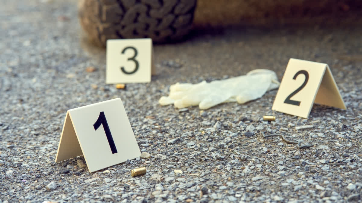 Indian-Origin Truck Driver Faces Homicide Charges In US