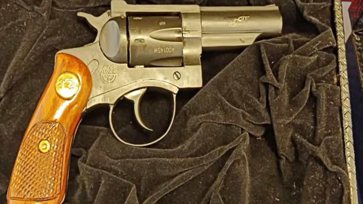 desi revolver gun inside school bag MANDLA MP