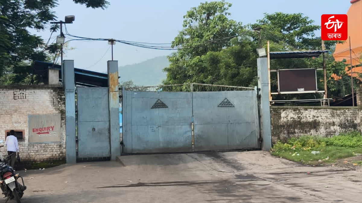 3 KILLED IN BLAST AT POWER PLANT