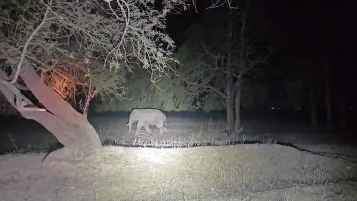 HUMAN WILDLIFE CONFLICT