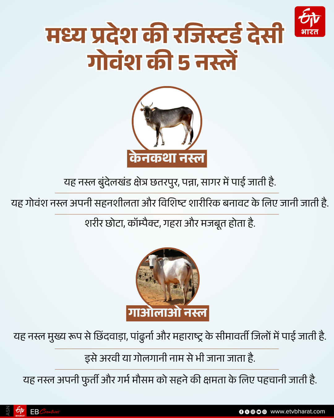 MADHYA PRADESH FOUR CATTLE BREEDS
