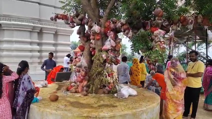 Worship at Siddh Baba Temple in Sawan