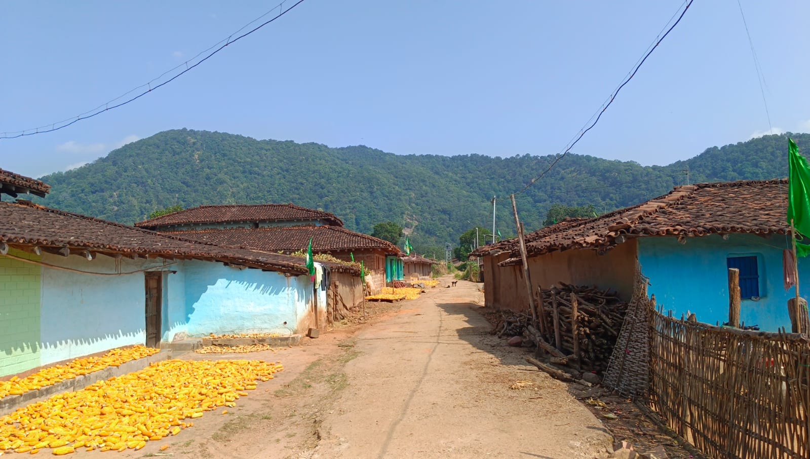 Palamu Tiger Reserve