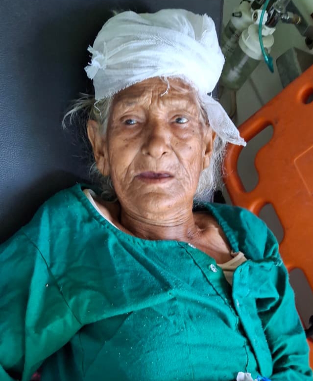 Leopard Attack Elderly Woman