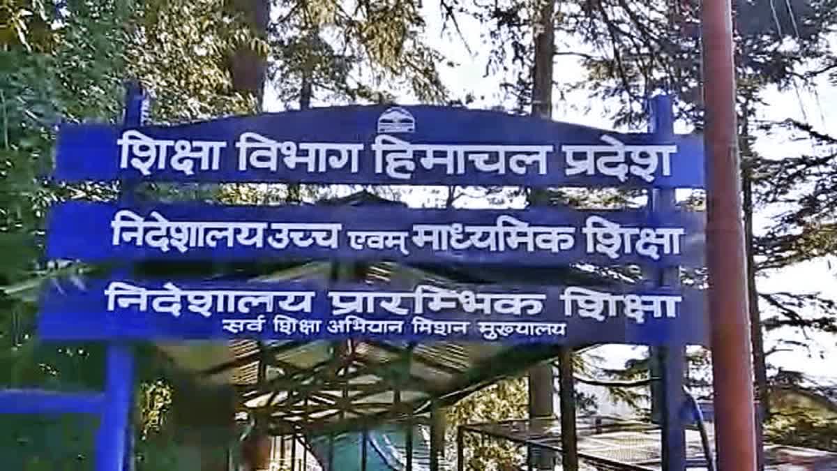 Economics Teachers Appointed