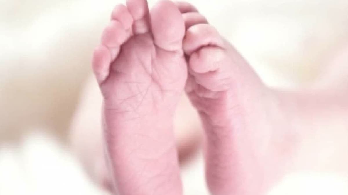 ETV Bharat News - Politics - News Image