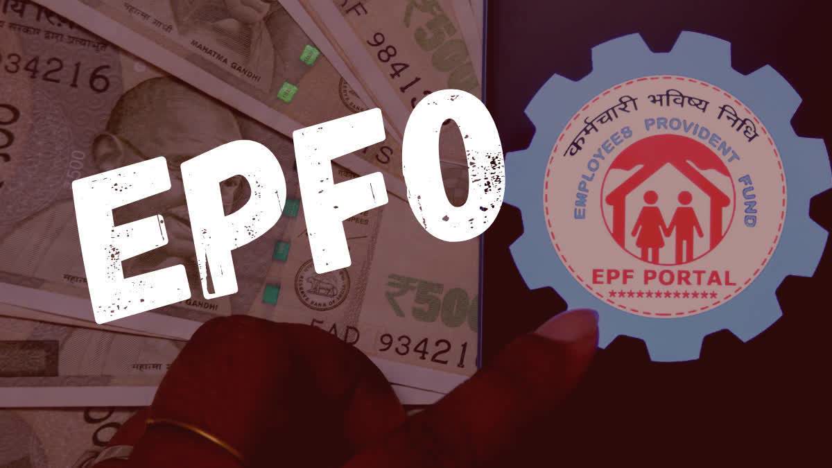 EPFO WhatsApp Channel: How To Get PF, Pension And EDLI Updates On Your ...