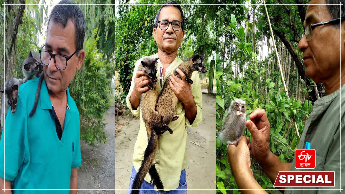 Human generated forest in Udalguri