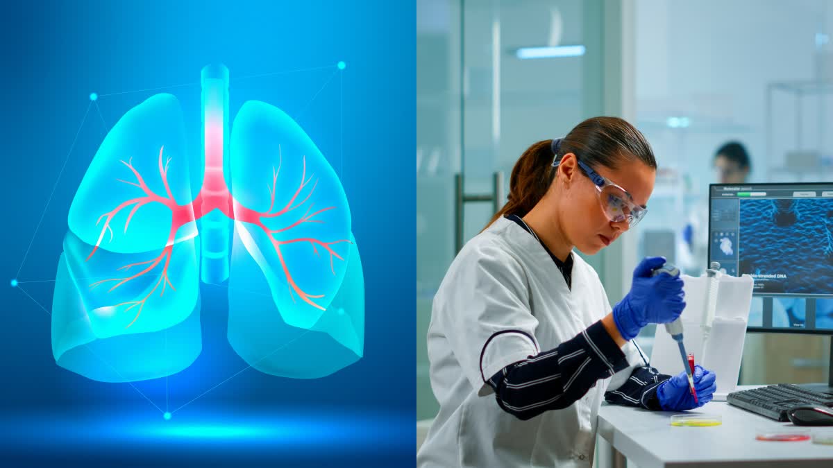 LUNG CANCER TUMOR SHRINKAGE