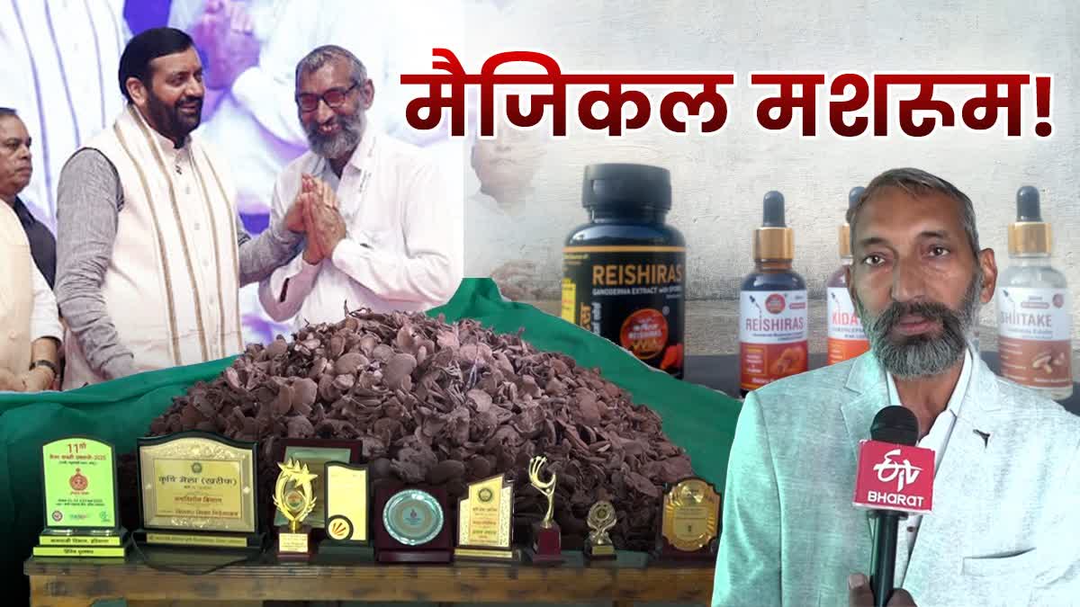 Unique Success Story Panchkula Morni farmer Virendra Bajwan earning lakhs of rupees by growing Ganoderma mushrooms received several awards