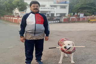 BURHANPUR PET DOG FITNESS TRAINER