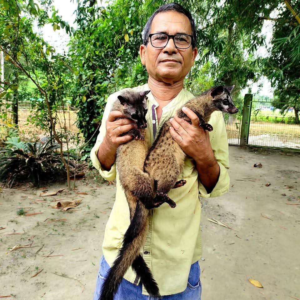 Human generated forest in Udalguri