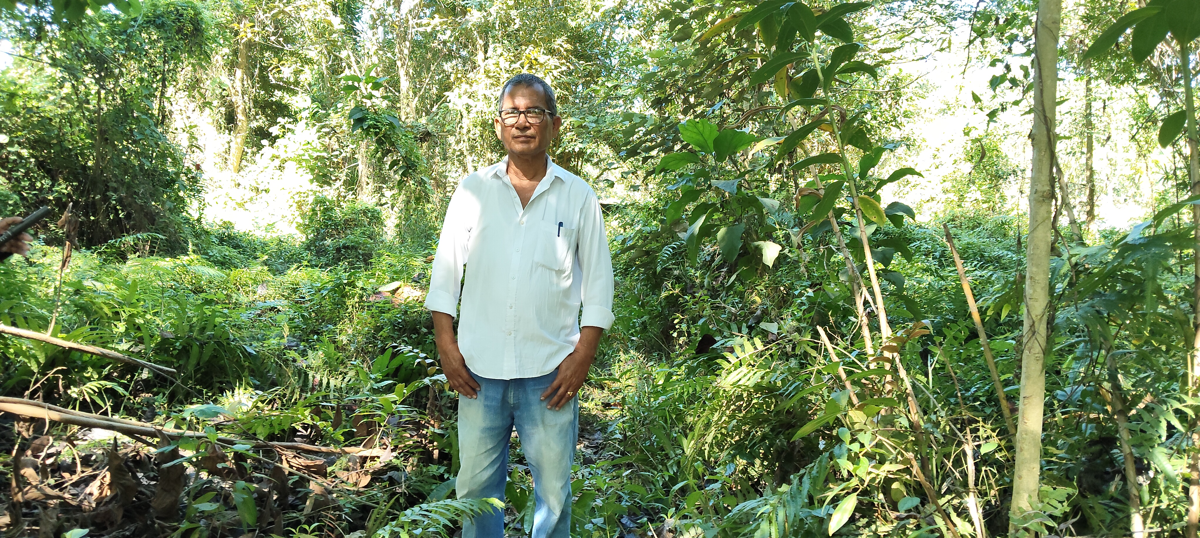 Human generated forest in Udalguri