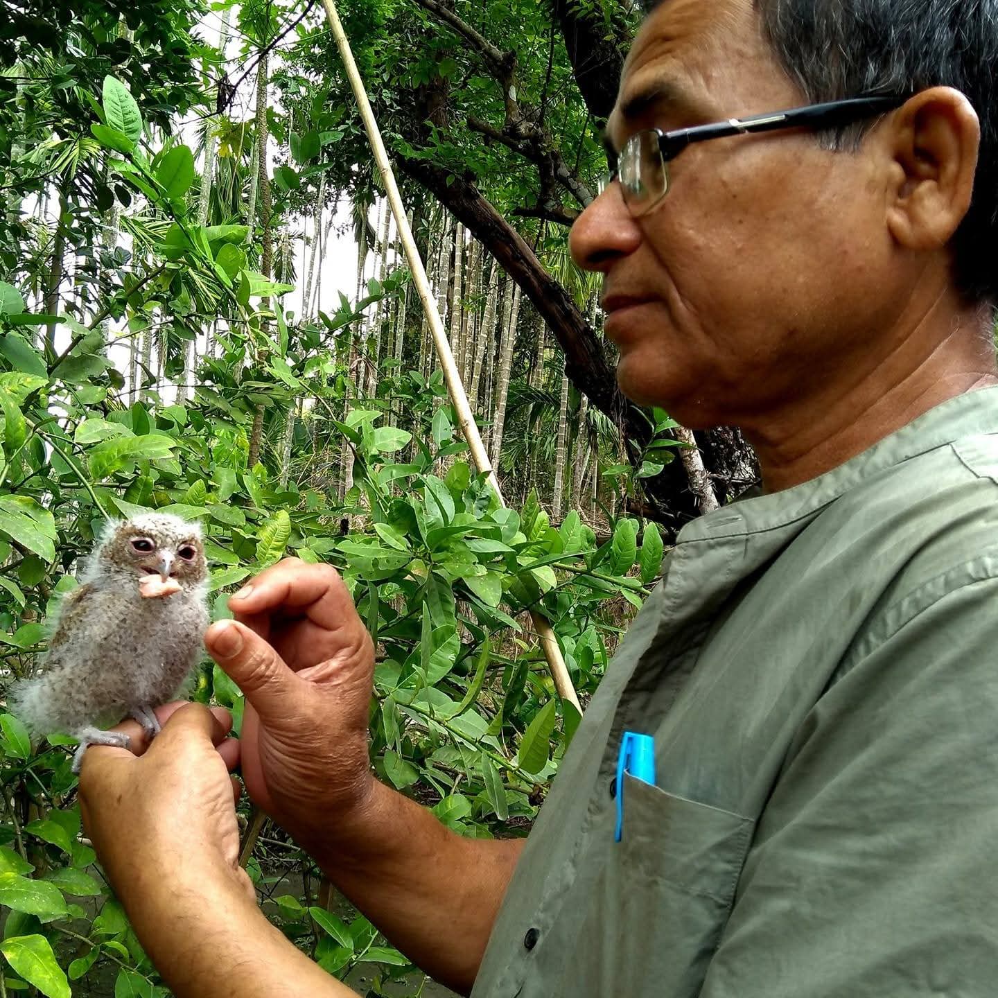 Human generated forest in Udalguri