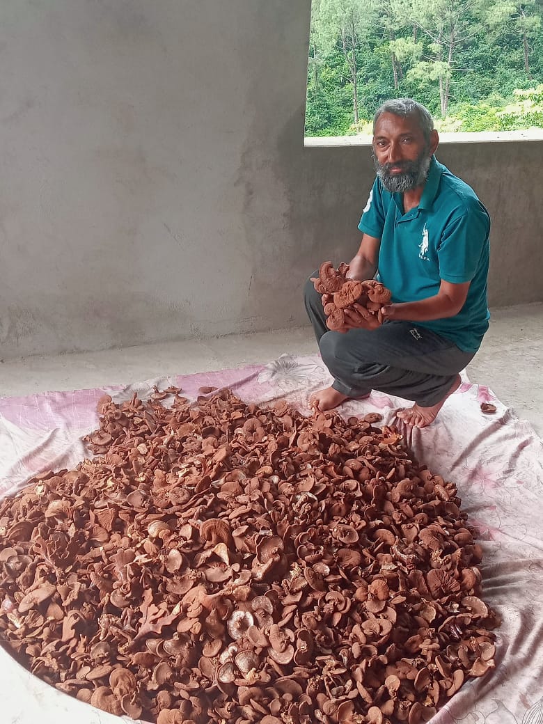 Unique Success Story Panchkula Morni farmer Virendra Bajwan earning lakhs of rupees by growing Ganoderma mushrooms received several awards