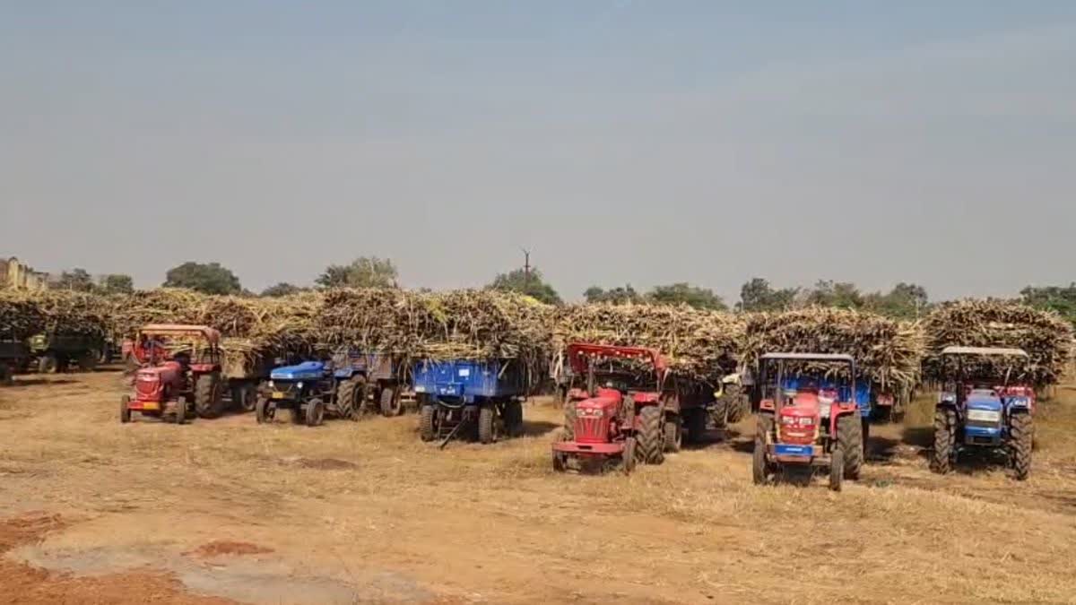 Balod Sugarcane Farmer