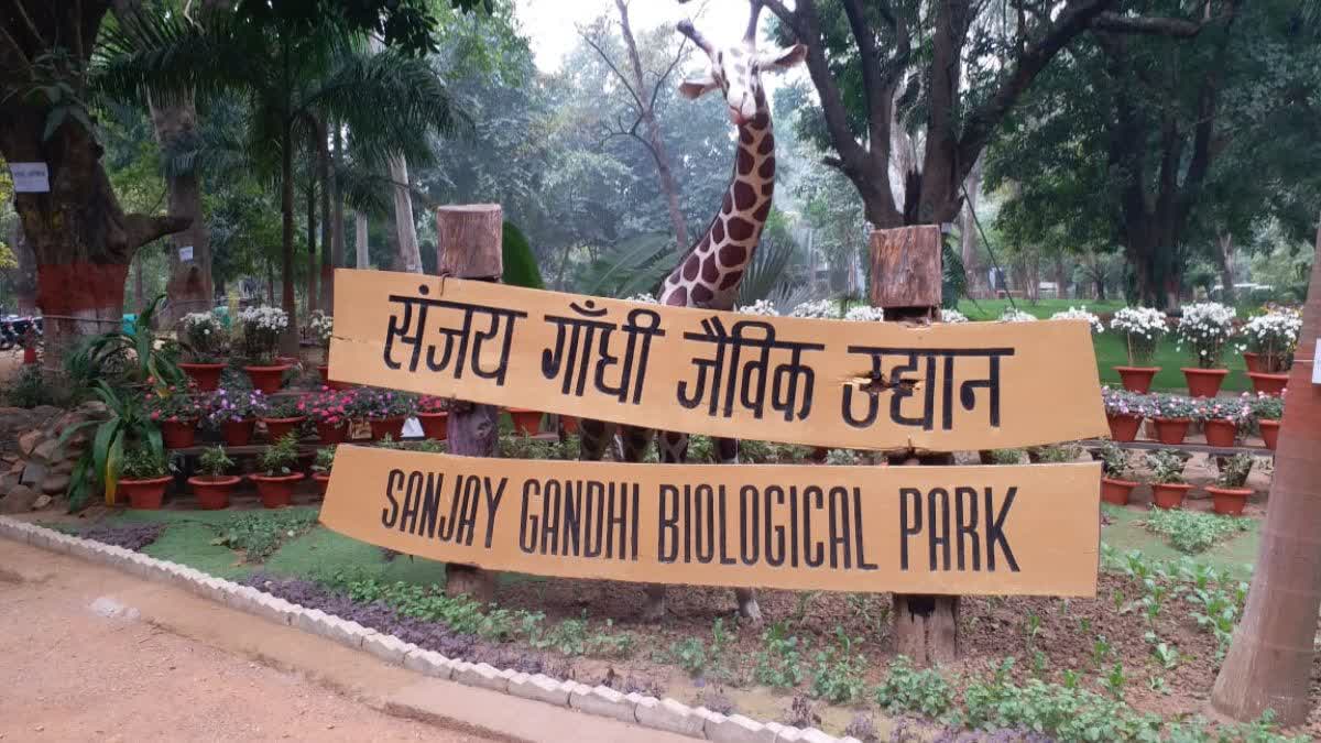 Animals Winter Care in Patna Zoo
