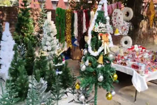 Chandigarh celebrates Christmas with Christmas trees and decorations in the markets