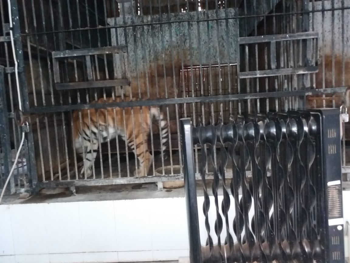 Animals Winter Care in Patna Zoo