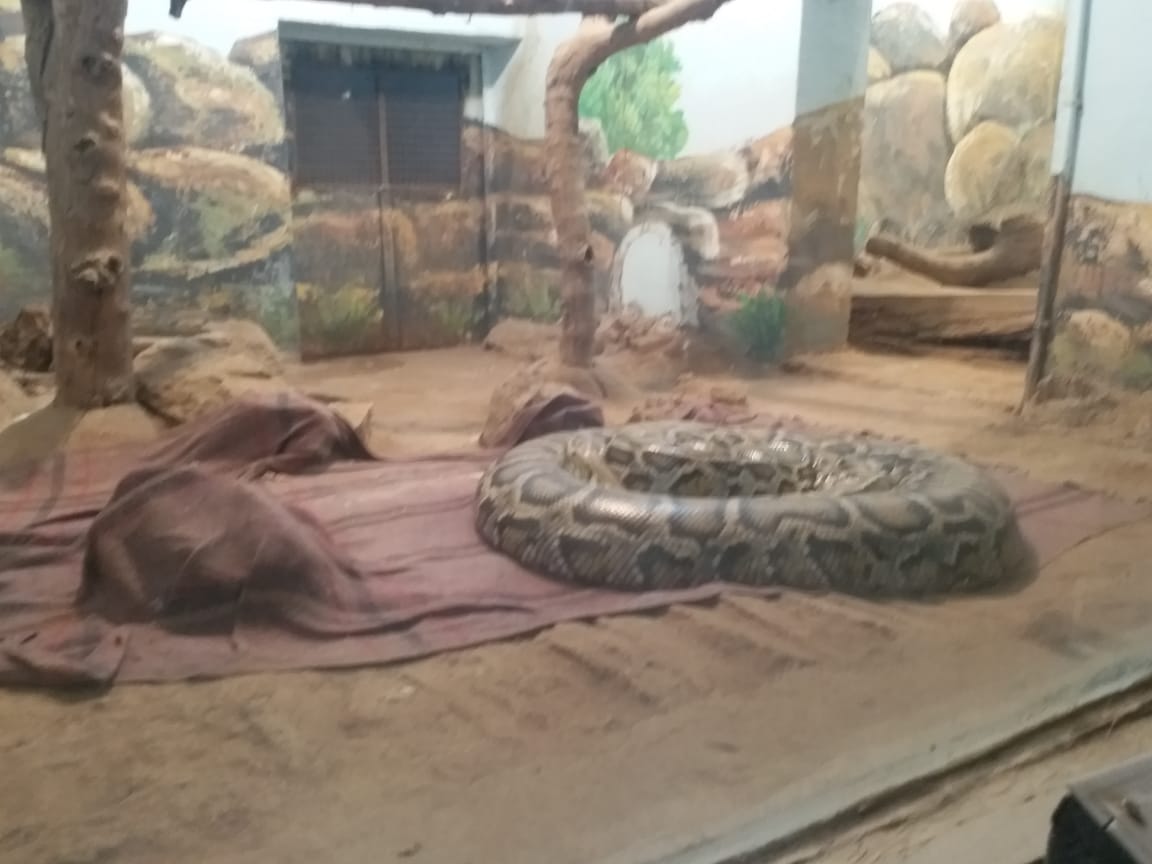 Animals Winter Care in Patna Zoo