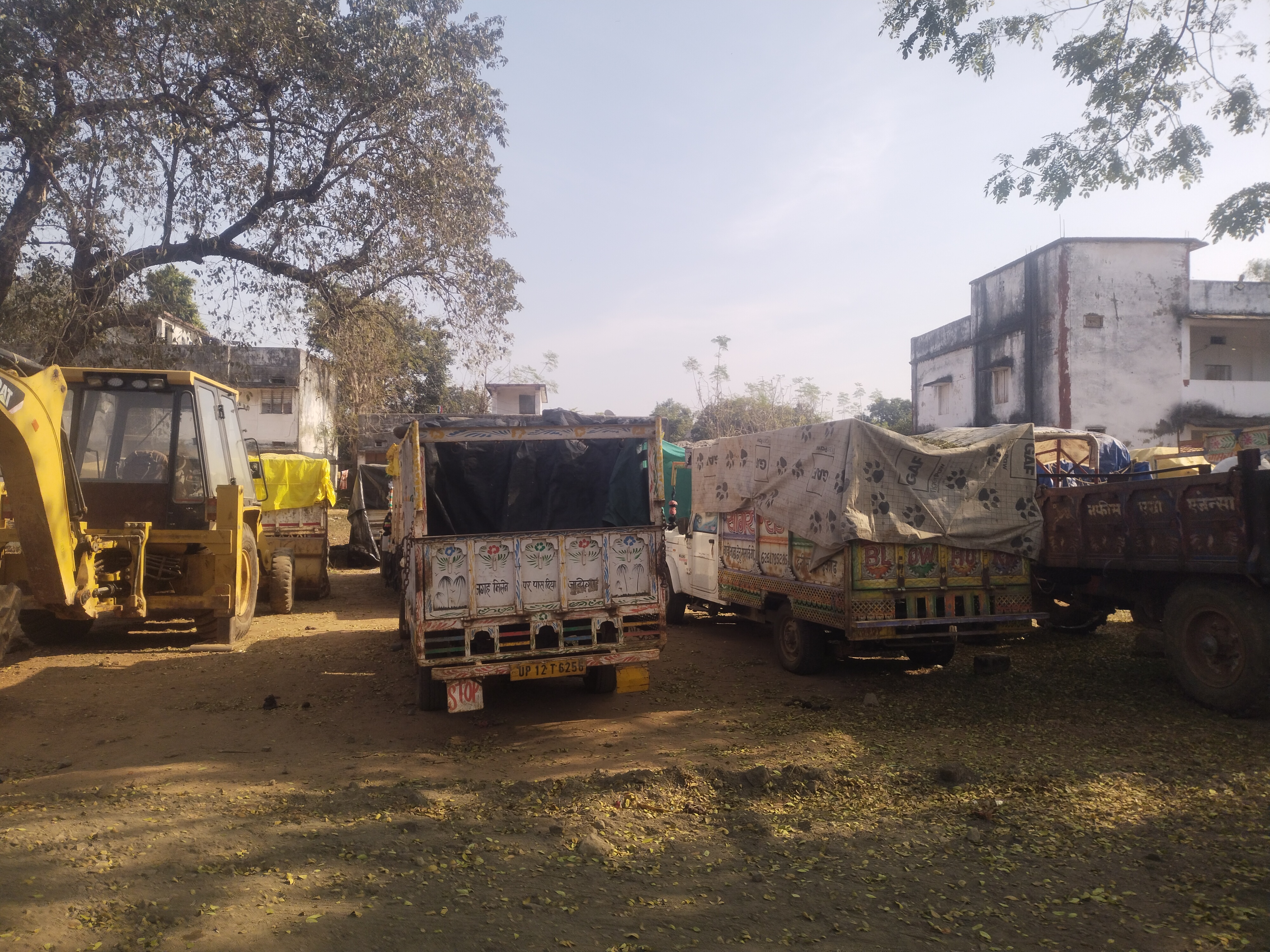 illegal paddy transportation