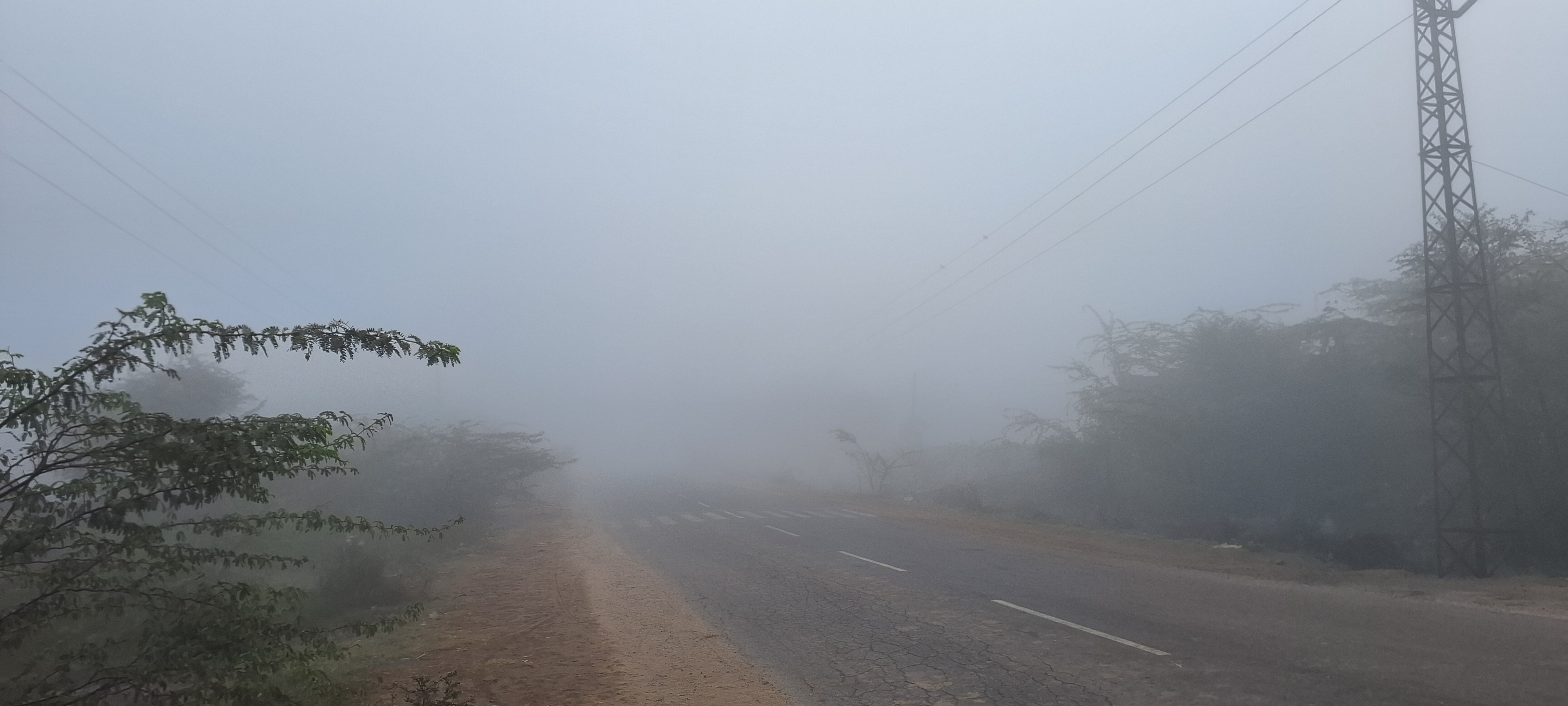 Fog in the rural area of ​​Bhilwara
