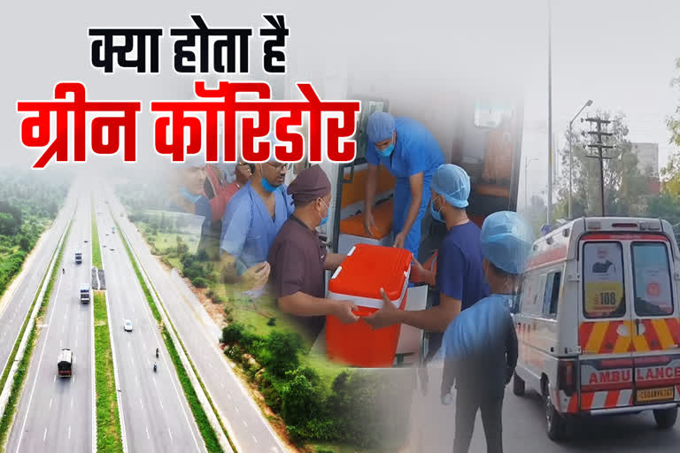 क्या होता है ग्रीन कॉरिडोर?, कैसे बचाई जा सकती है अंग प्रत्यारोपण से मरीज  की जान