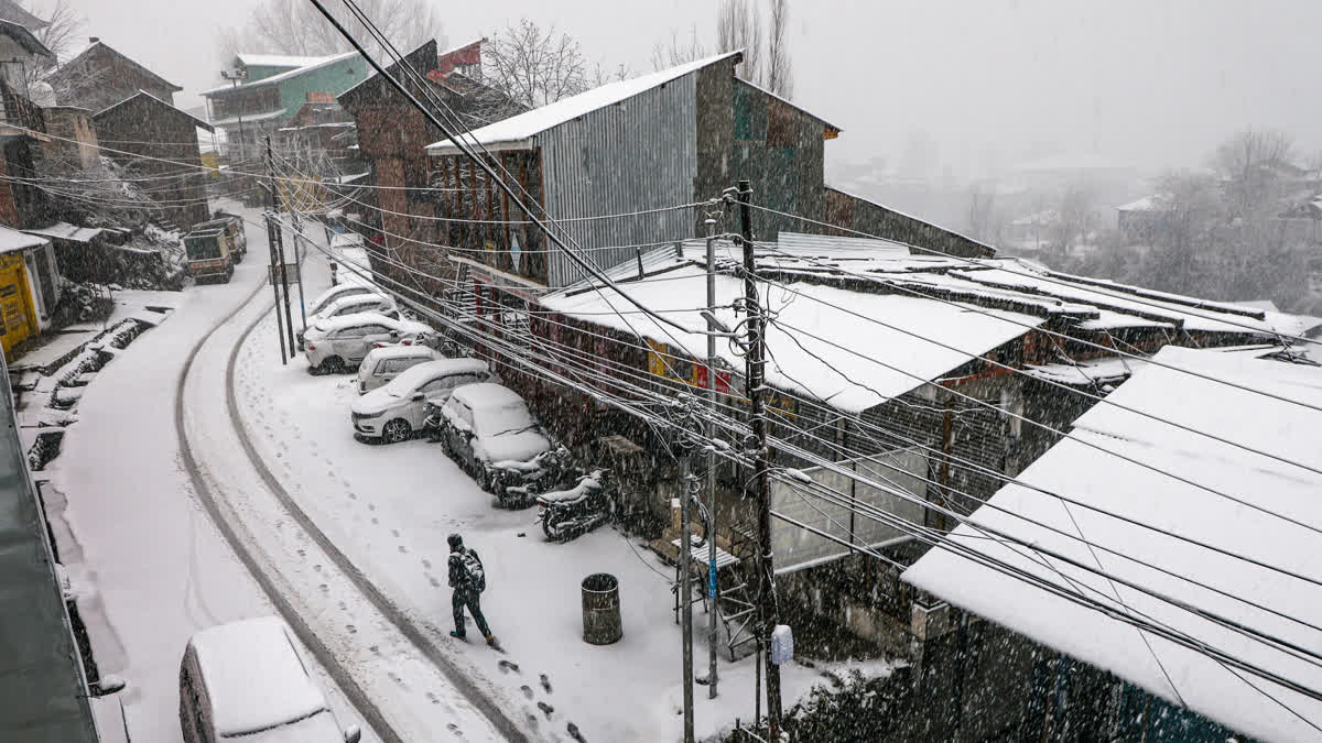 Doda: A local walks amid heavy snowfall at Bhaderwah, in Doda district, Jammu and Kashmir, Friday, Jan. 23, 2026.