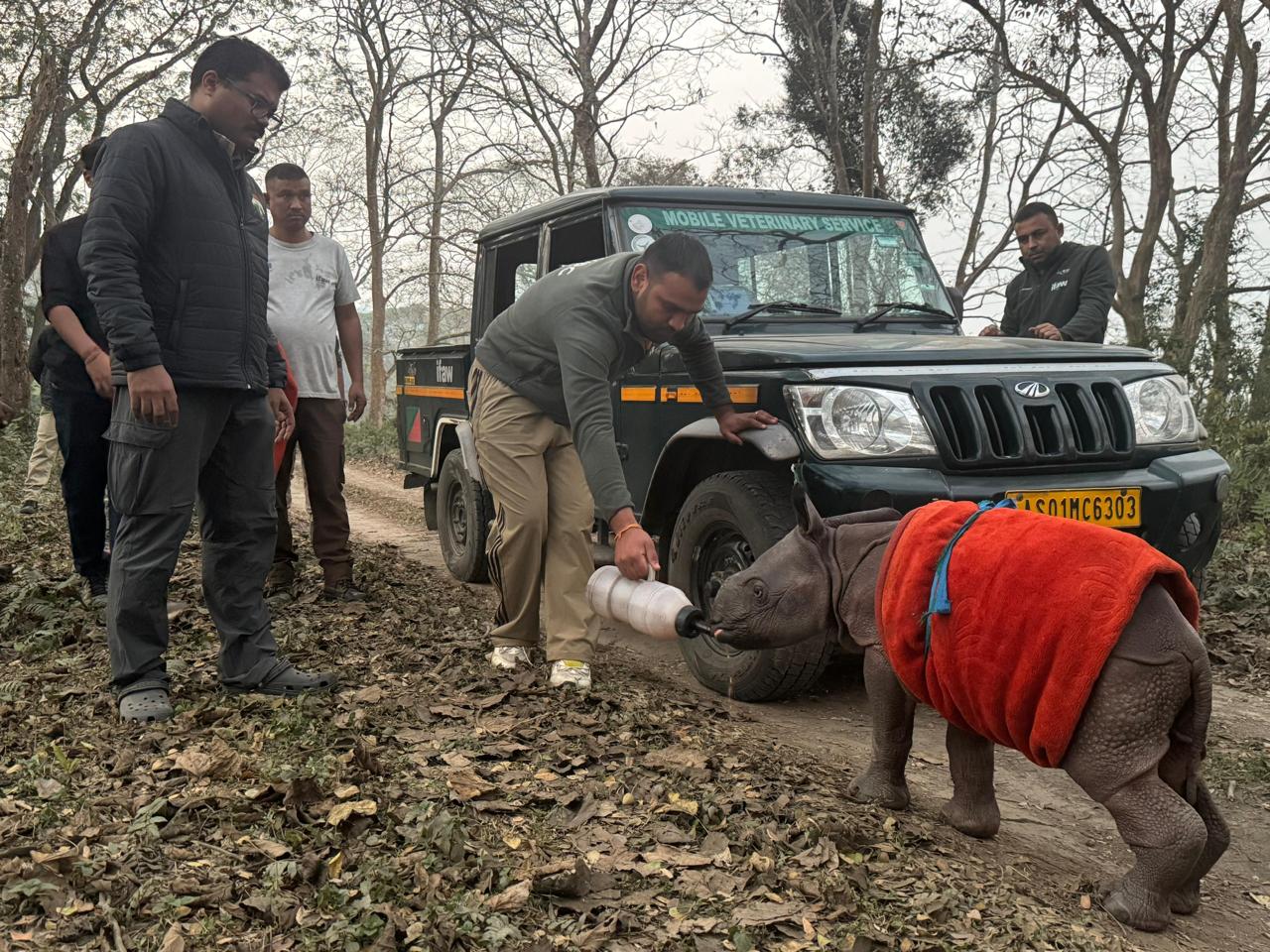 RESCUE OF STRANDED RHINO CALF