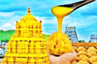 Tirumala Adulterated Ghee Case Updates